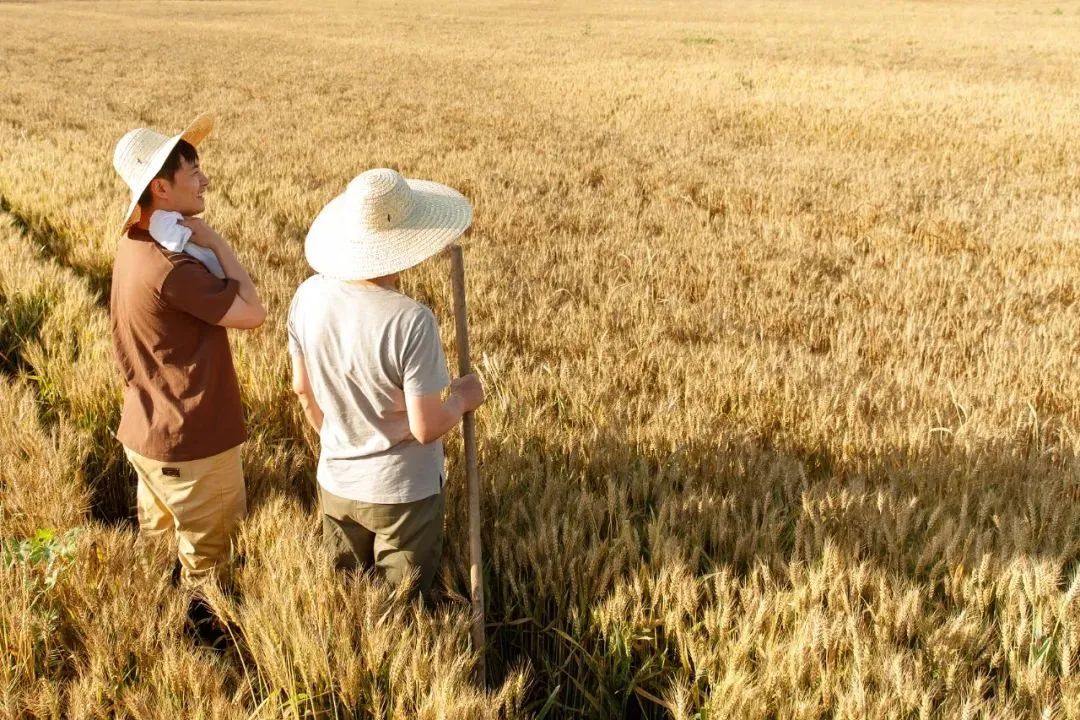 1100万人选择返乡，若何助力他们干事创业？