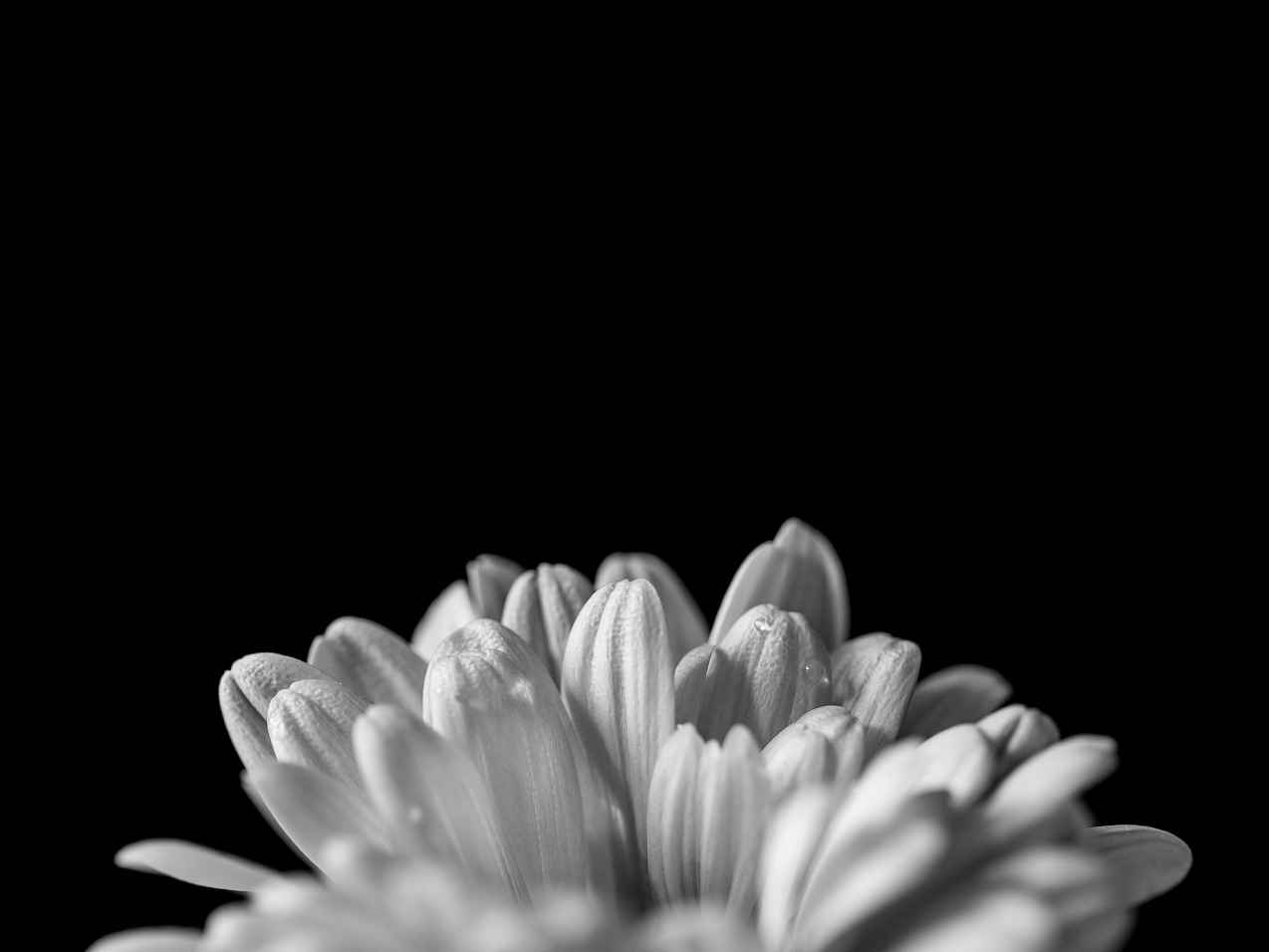 ��ҳ| 9001cc��ɳ�����Գ�Ϊ������