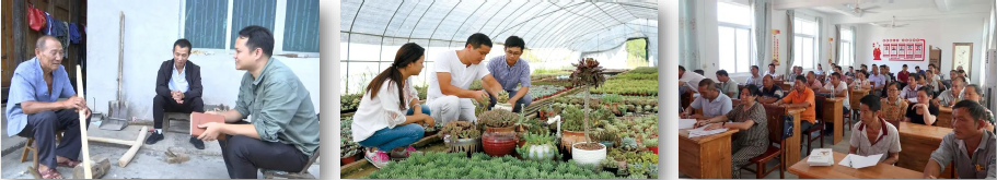 A97CD31EF1295A73067529CC90F_CBFB84DD_4C575