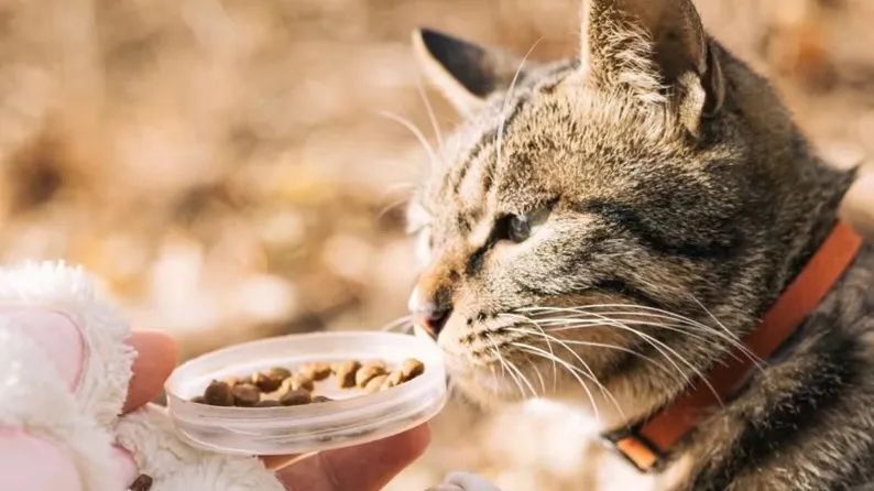 A83D8AF881F7F4868263C7EF8D0_5E3829B9_D4F7