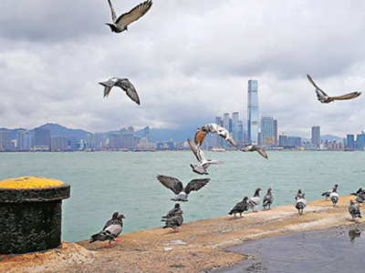 首页| 9001cc金沙集团以诚为本官网