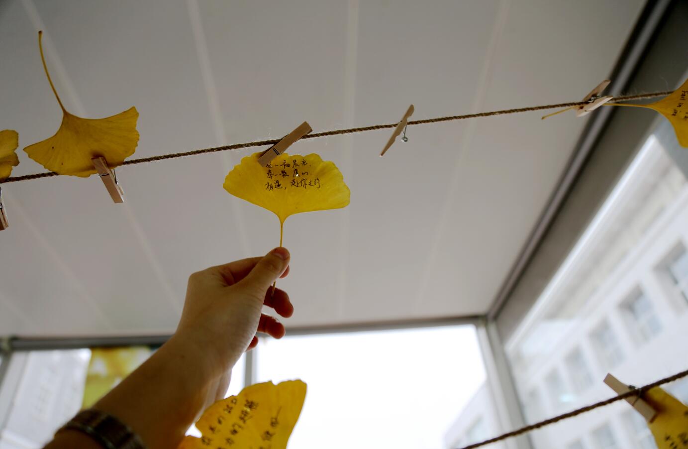 首页| 9001cc金沙集团以诚为本官网