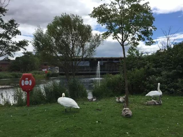 首页| 9001cc金沙集团以诚为本官网