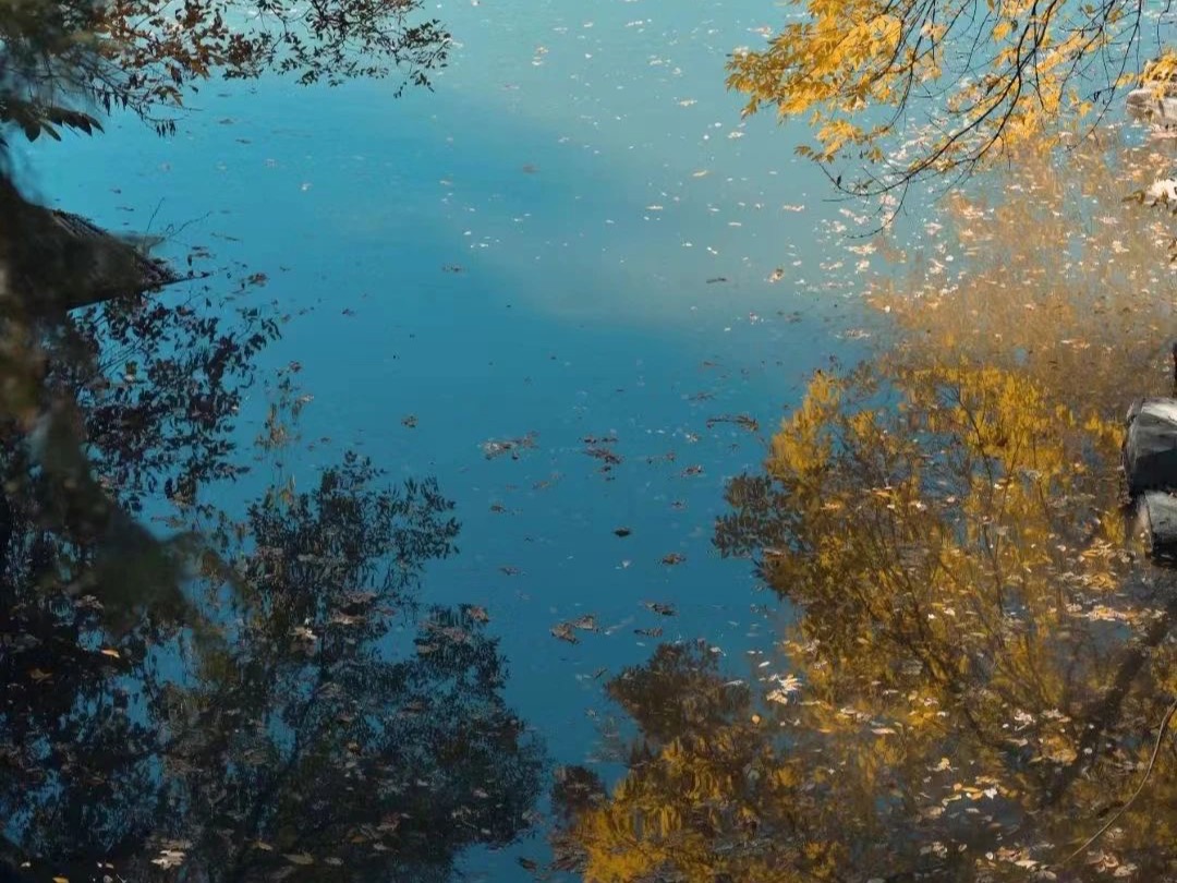 首页| 9001cc金沙集团以诚为本官网