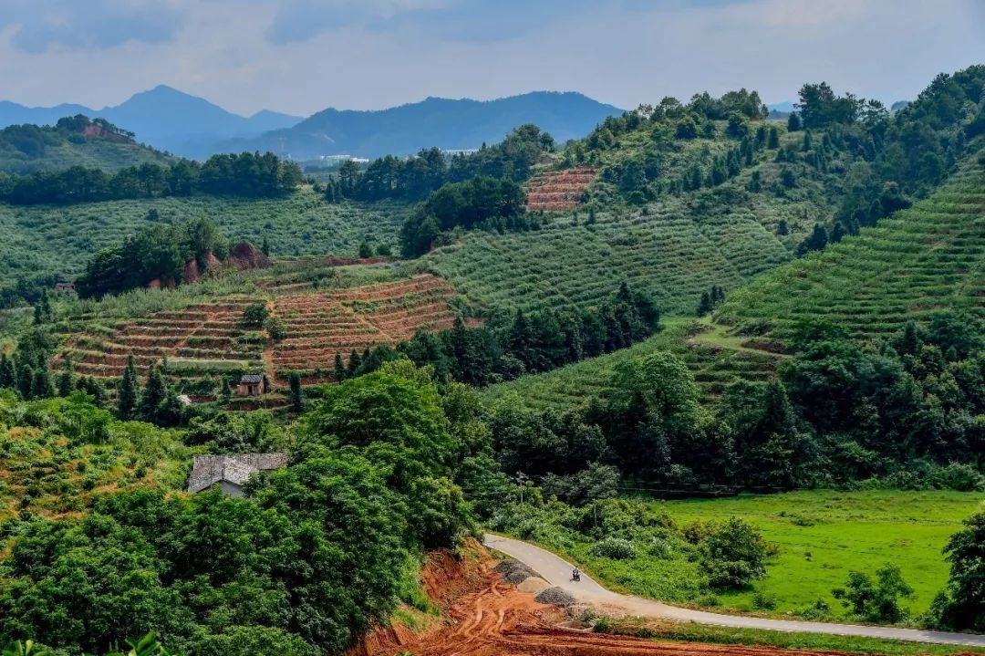 ��ҳ| 9001cc��ɳ�����Գ�Ϊ������