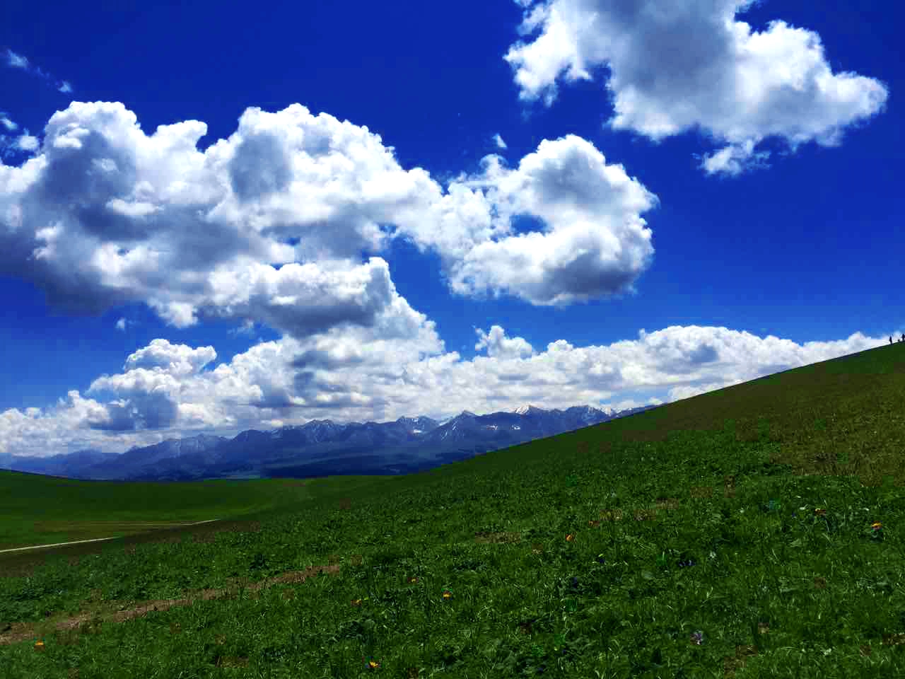 首页| 9001cc金沙集团以诚为本官网