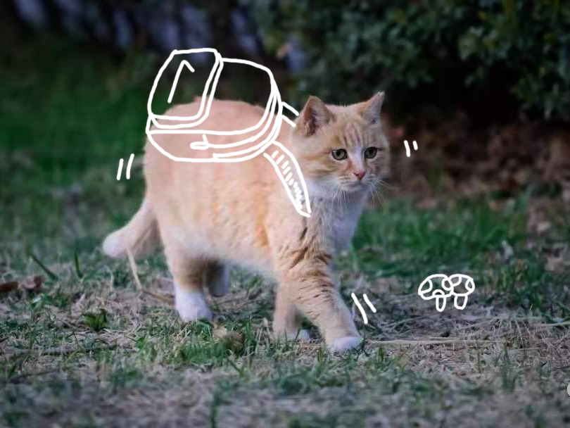 首页| 9001cc金沙集团以诚为本官网