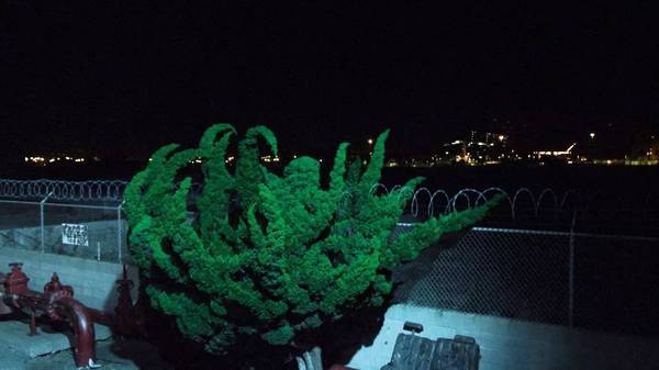 首页| 9001cc金沙集团以诚为本官网