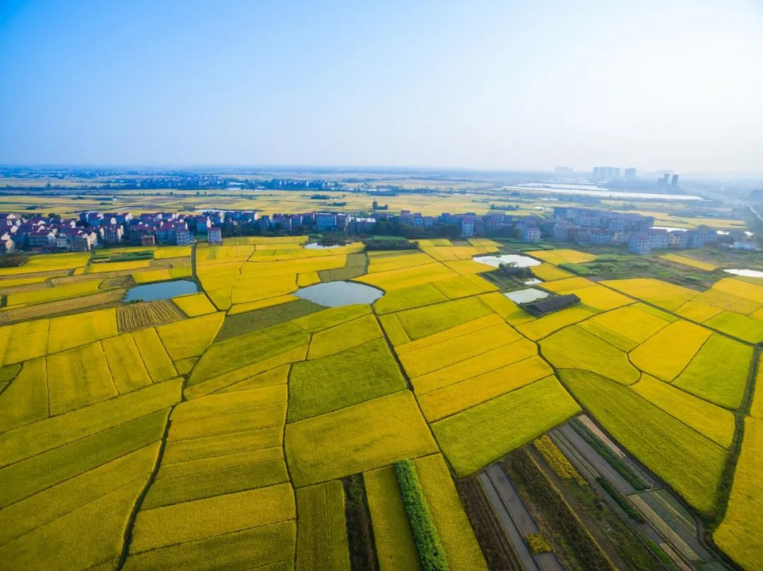 王辉：佑装人气儿”，经济才有活力