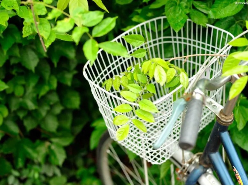 首页| 9001cc金沙集团以诚为本官网