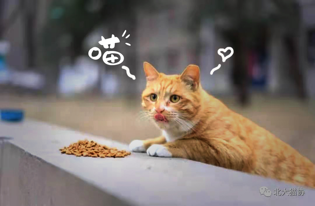 C605FF5BFF77363370C78C714A8_BBD8B28A_447FF