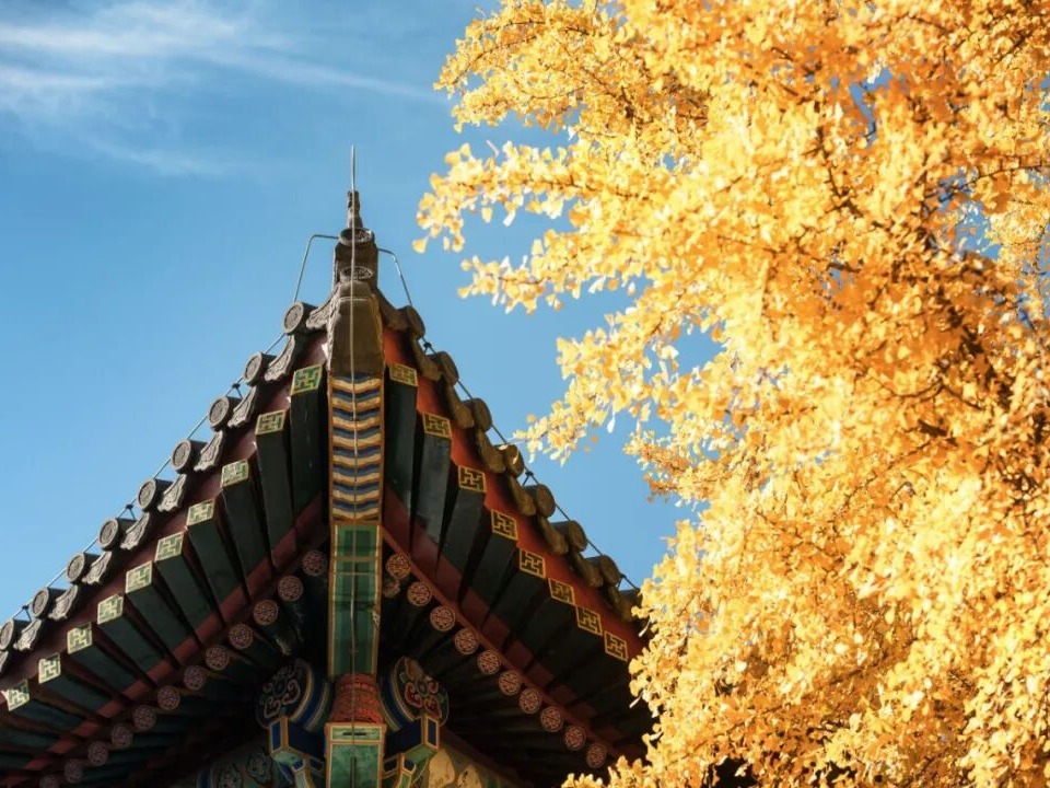 首页| 9001cc金沙集团以诚为本官网