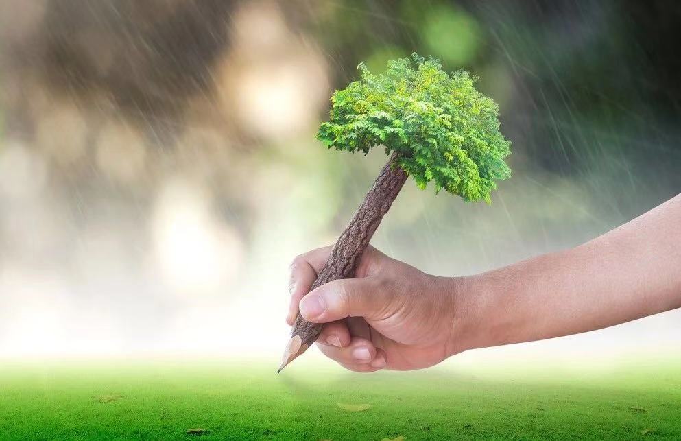 首页| 9001cc金沙集团以诚为本官网