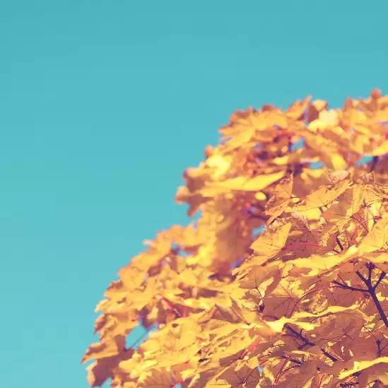 首页| 9001cc金沙集团以诚为本官网