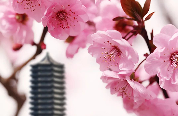 首页| 9001cc金沙集团以诚为本官网