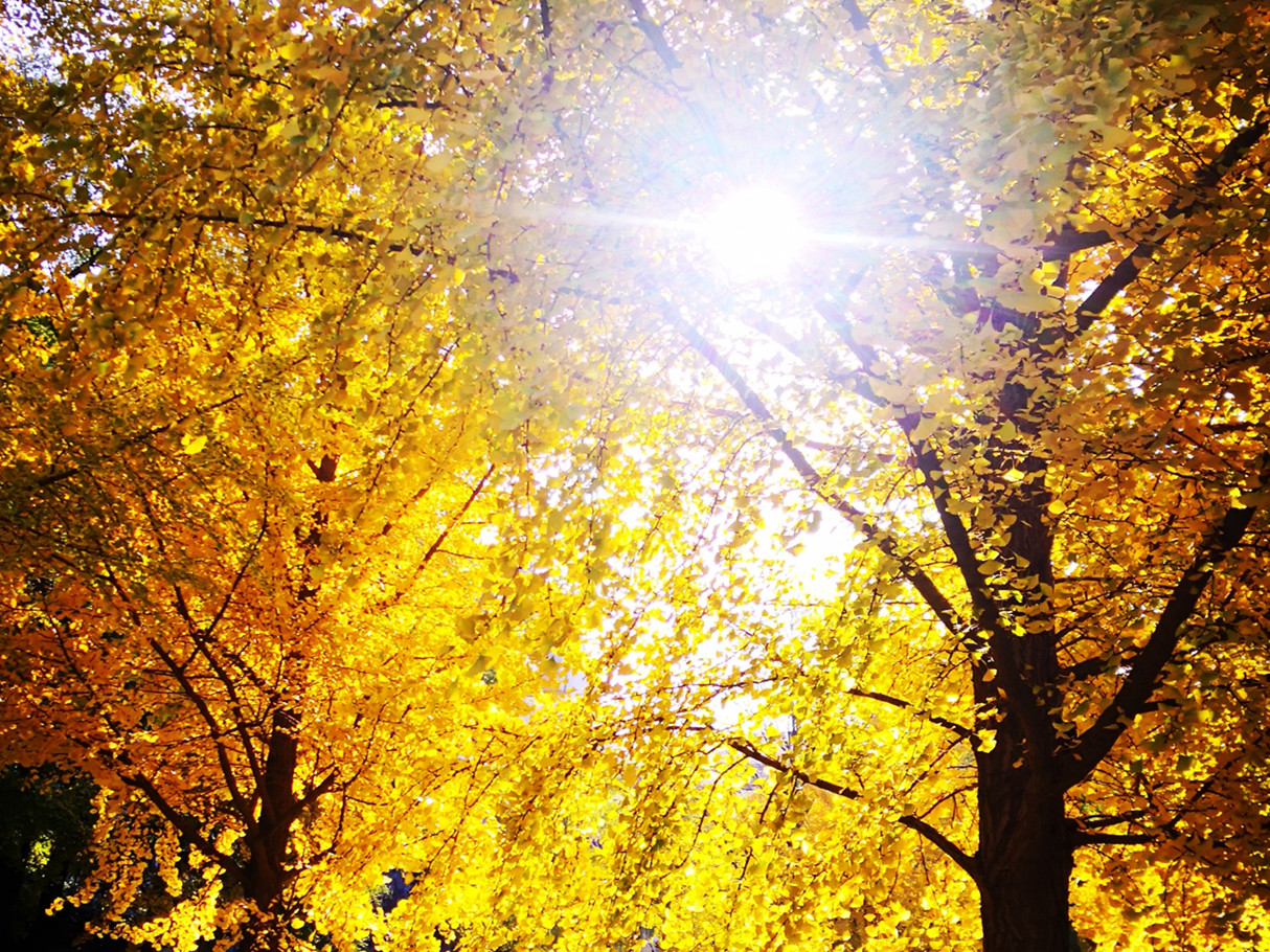  MPAcc分享会干货满满 | 尊沉经济内容，回归管帐初衷 