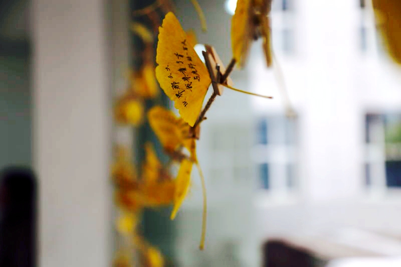 首页| 9001cc金沙集团以诚为本官网