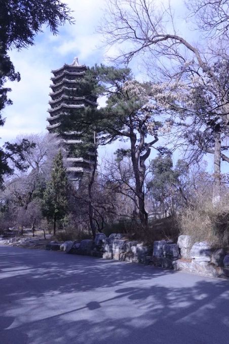 首页| 9001cc金沙集团以诚为本官网