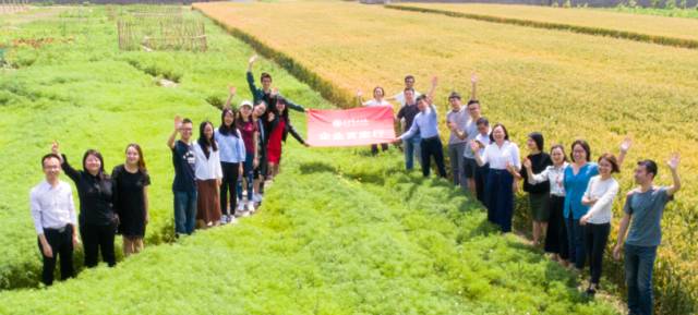 首页| 9001cc金沙集团以诚为本官网