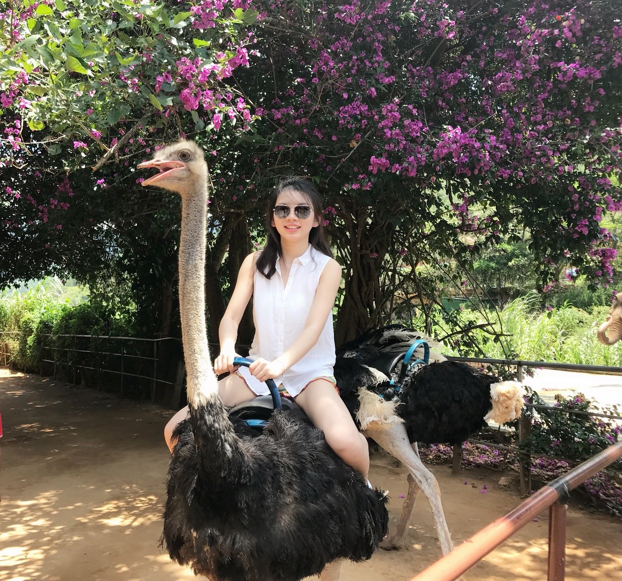 46BF52A7C834E44E914BAC8FEEB_1F8554F5_A56EA