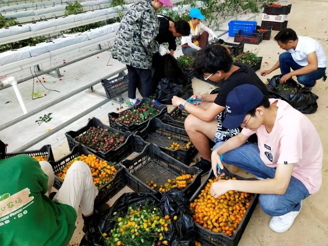 672669B230305681472D6966FE2_CE293B1D_31941.jpg?e=