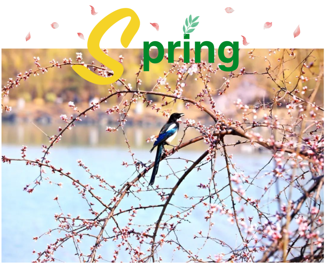 北大春日限造！带你一路寻找“因、思、想、而、光、华！”