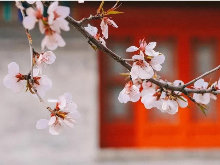 首页| 9001cc金沙集团以诚为本官网