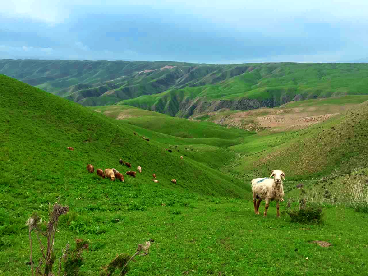 首页| 9001cc金沙集团以诚为本官网