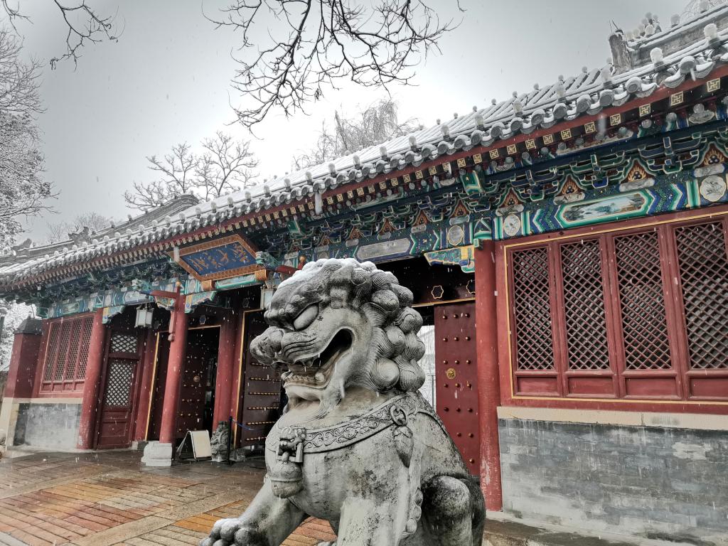  考研倒计时 | 预？佳谐晒Γ 