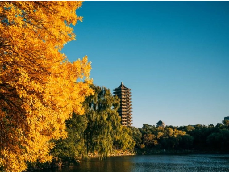 首页| 9001cc金沙集团以诚为本官网