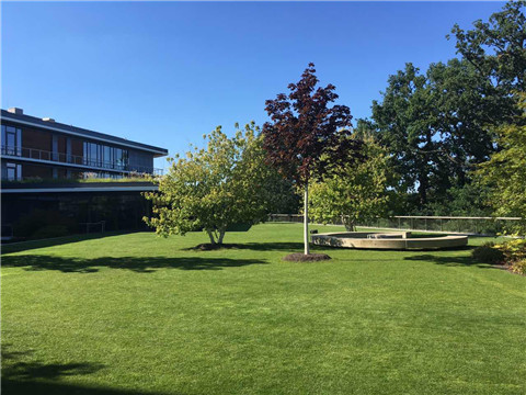 首页| 9001cc金沙集团以诚为本官网