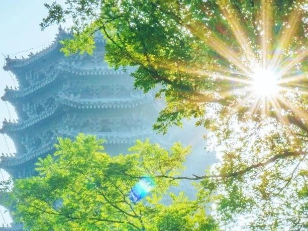 首页| 9001cc金沙集团以诚为本官网