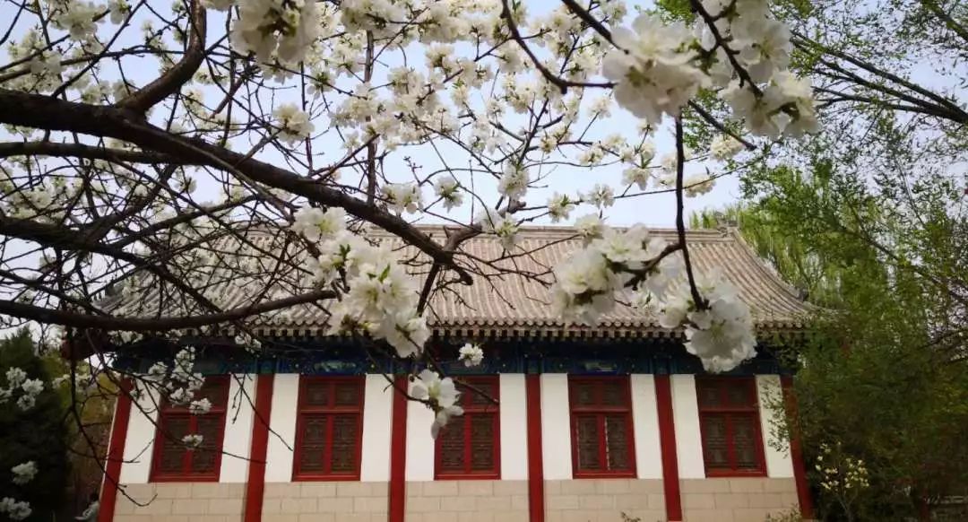 首页| 9001cc金沙集团以诚为本官网