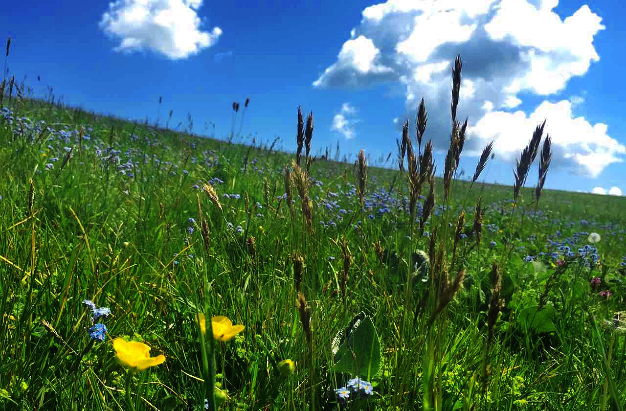 首页| 9001cc金沙集团以诚为本官网