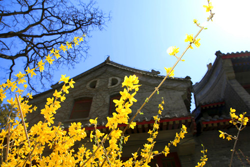 首页| 9001cc金沙集团以诚为本官网