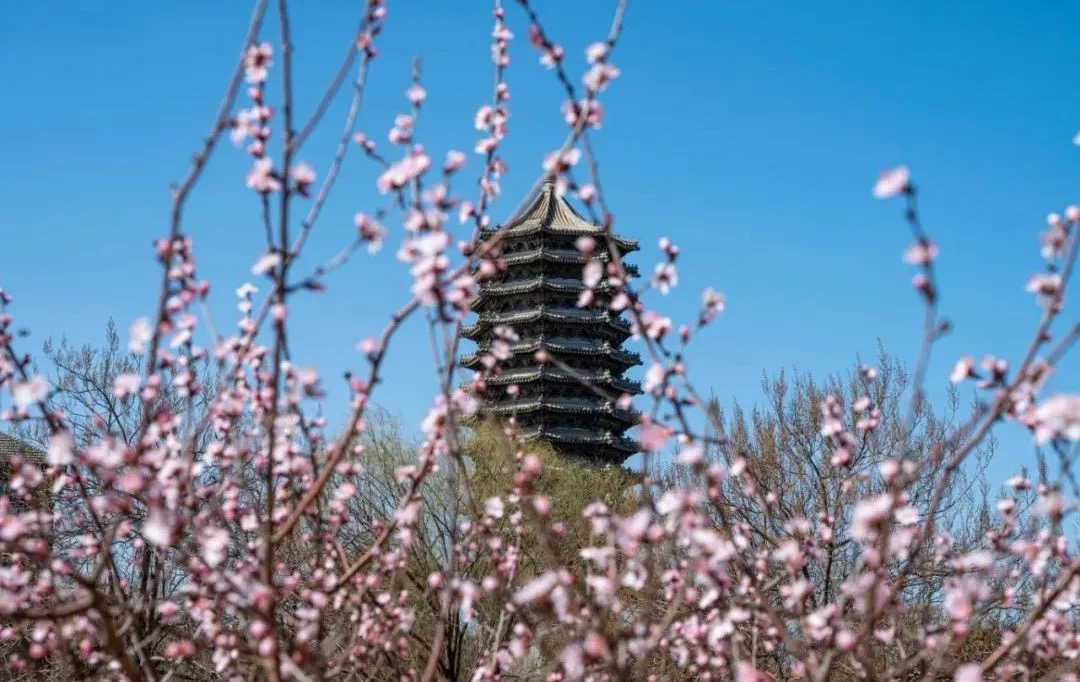 首页| 9001cc金沙集团以诚为本官网