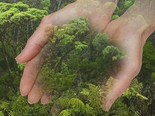 首页| 9001cc金沙集团以诚为本官网