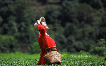 首页| 9001cc金沙集团以诚为本官网