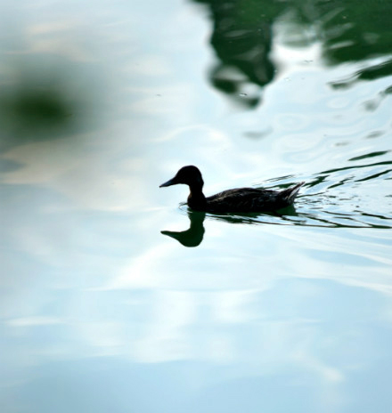 首页| 9001cc金沙集团以诚为本官网