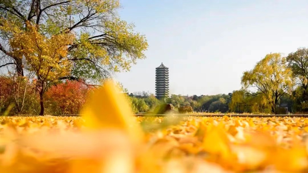 首页| 9001cc金沙集团以诚为本官网