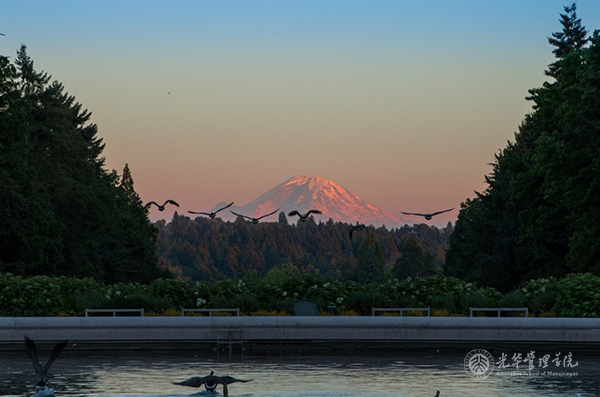 首页| 9001cc金沙集团以诚为本官网