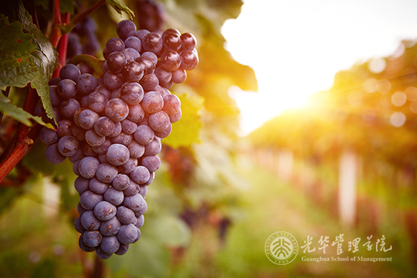 首页| 9001cc金沙集团以诚为本官网