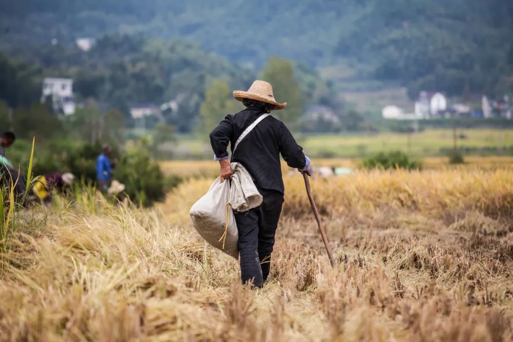 雷 明：人类汗青上最伟大的故事之一，我们该若何讲述？