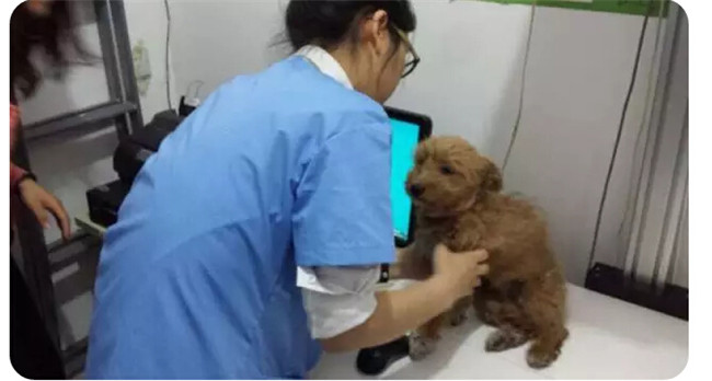 首页| 9001cc金沙集团以诚为本官网