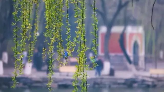 首页| 9001cc金沙集团以诚为本官网