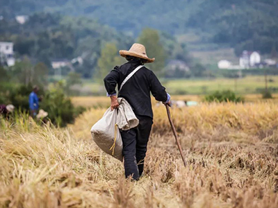 首页| 9001cc金沙集团以诚为本官网