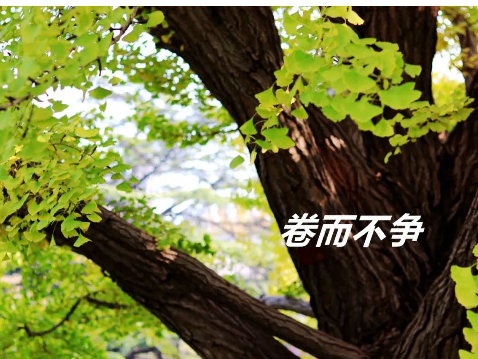 首页| 9001cc金沙集团以诚为本官网