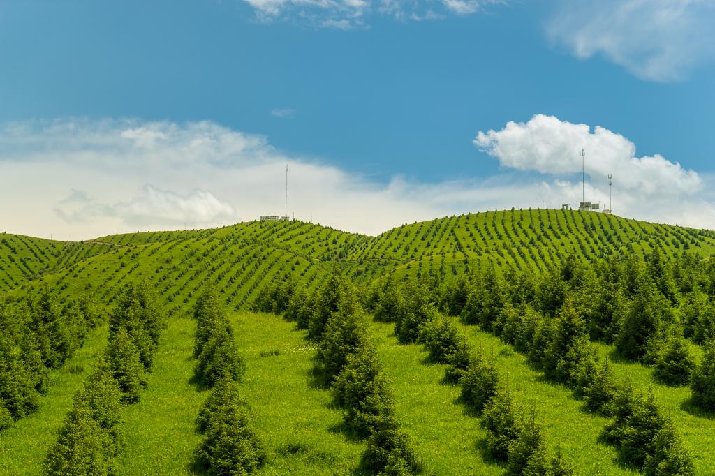 F92039BEBFFE756163C148A602C_8ADF5AD6_1F96B